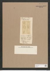 Navicula sp. (de-Toni-Nr.: Genus 1) Zeichnungen Sammlung Grunow Nr. 1632 (NHMW-BOT-W0368191)